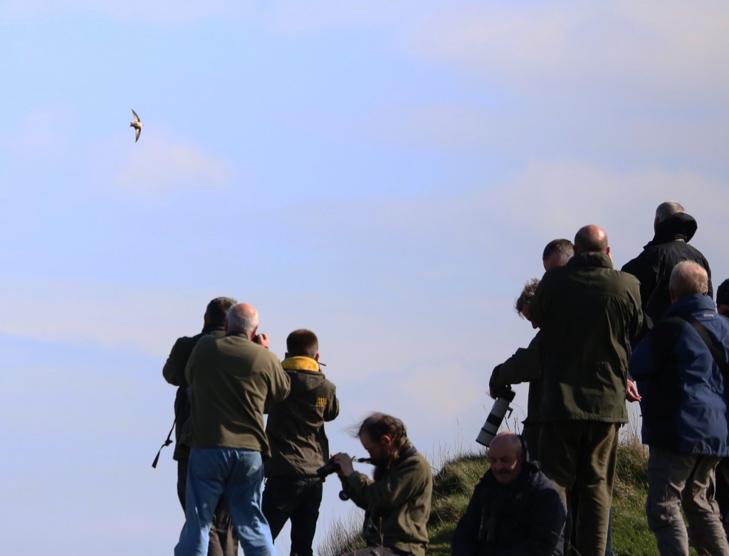 Crag Martin and admirers (R Baines)